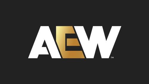 Former AEW And ROH Champion Gives Update On Injury Return